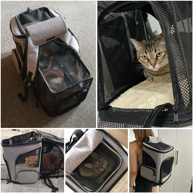 Expandable Pet Carrier Backpack