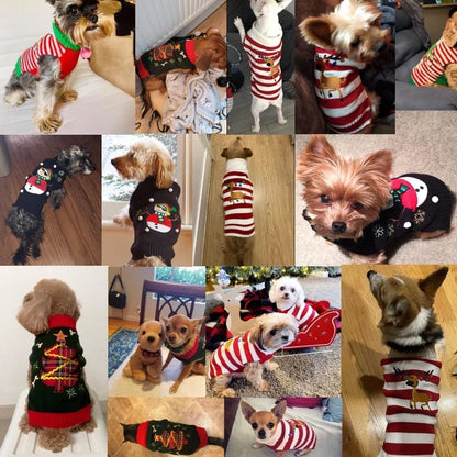 Christmas Knit Pet Sweater