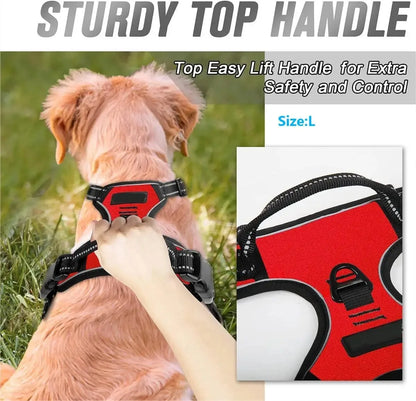 Leather Dog Harness, Collar & Leash Set