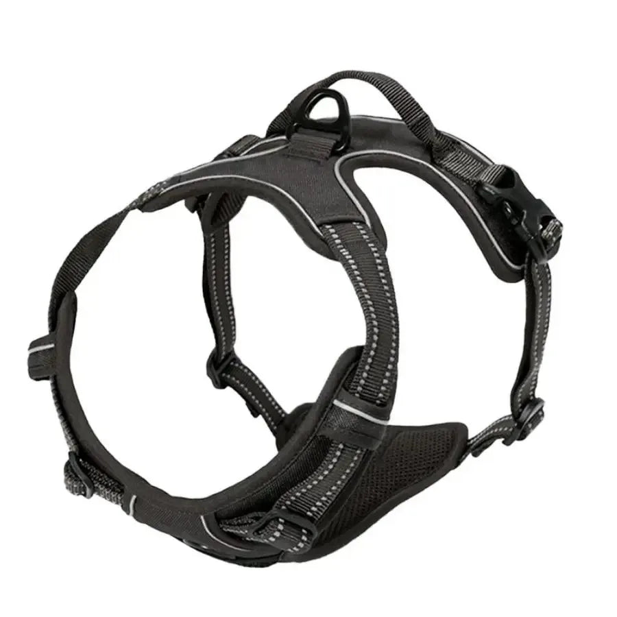 Leather Dog Harness, Collar & Leash Set
