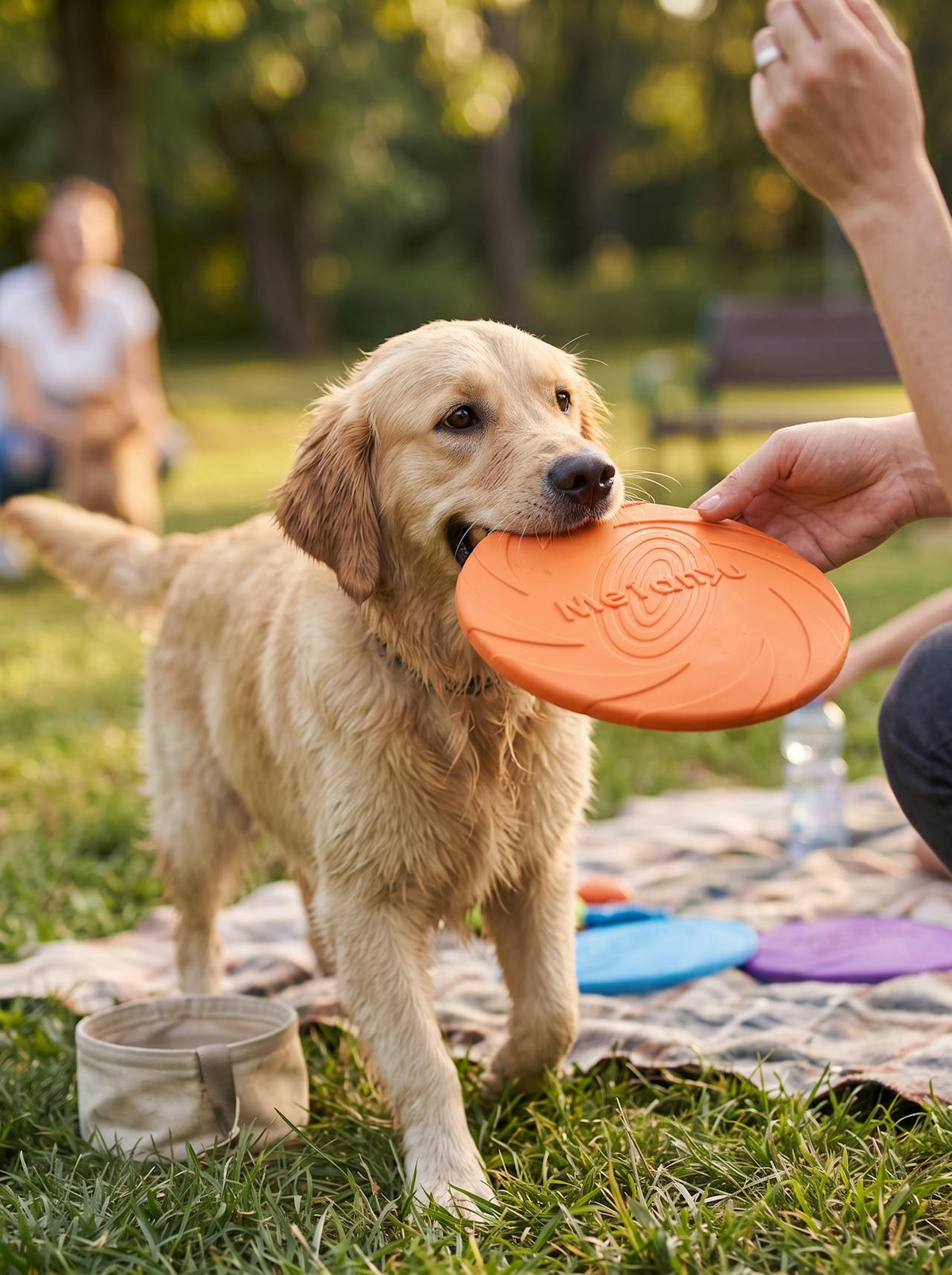 Silicone Flying Disc for Dogs lifestyle 2