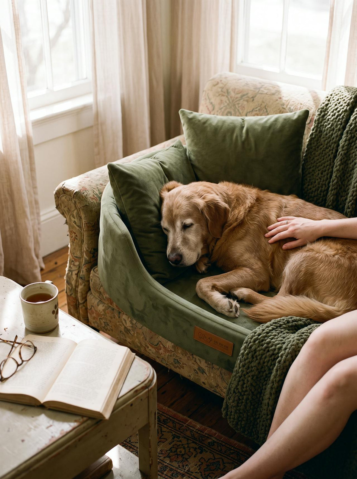 Fluffy Pet Sofa Bed lifestyle 2
