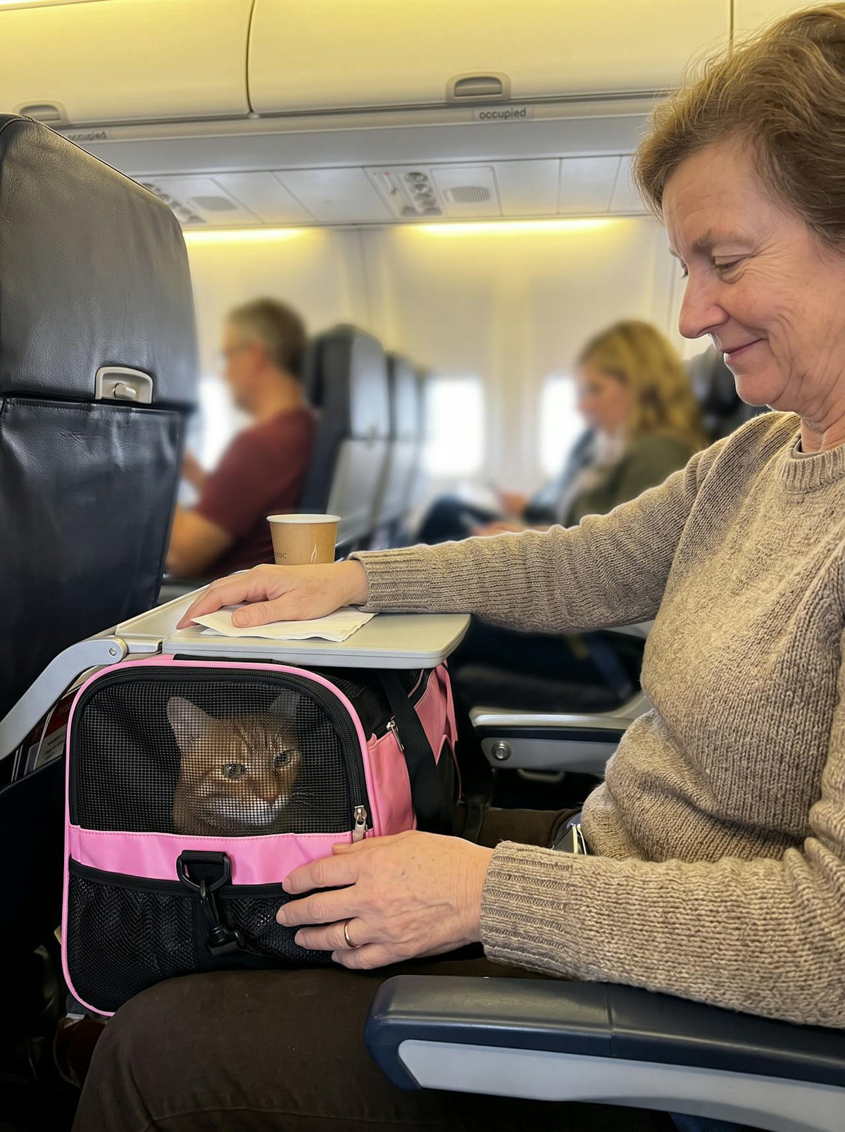 Foldable Mesh Pet Carrier Handbag lifestyle 1