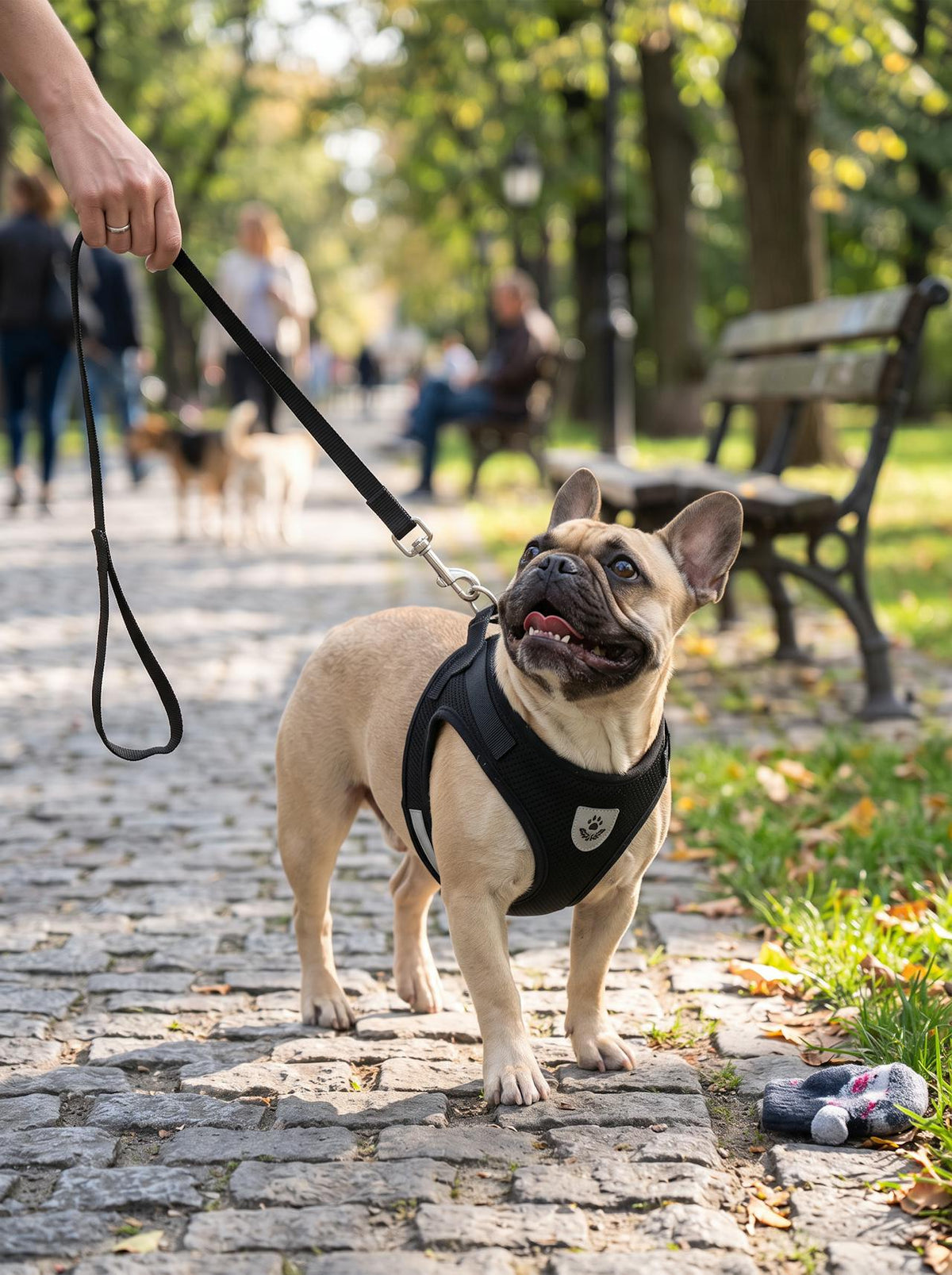 Reflective Mesh Dog Harness