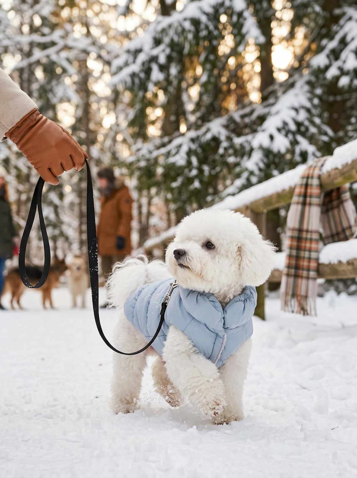 Padded Winter Pet Vest lifestyle 3
