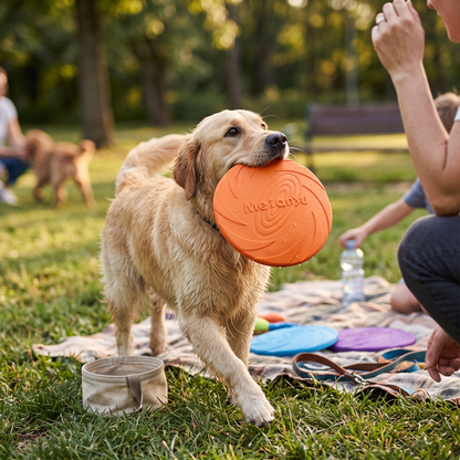 Durable Silicone Dog Flying Disc – Bite-Resistant, Outdoor Training & Play Toy | lifestyle