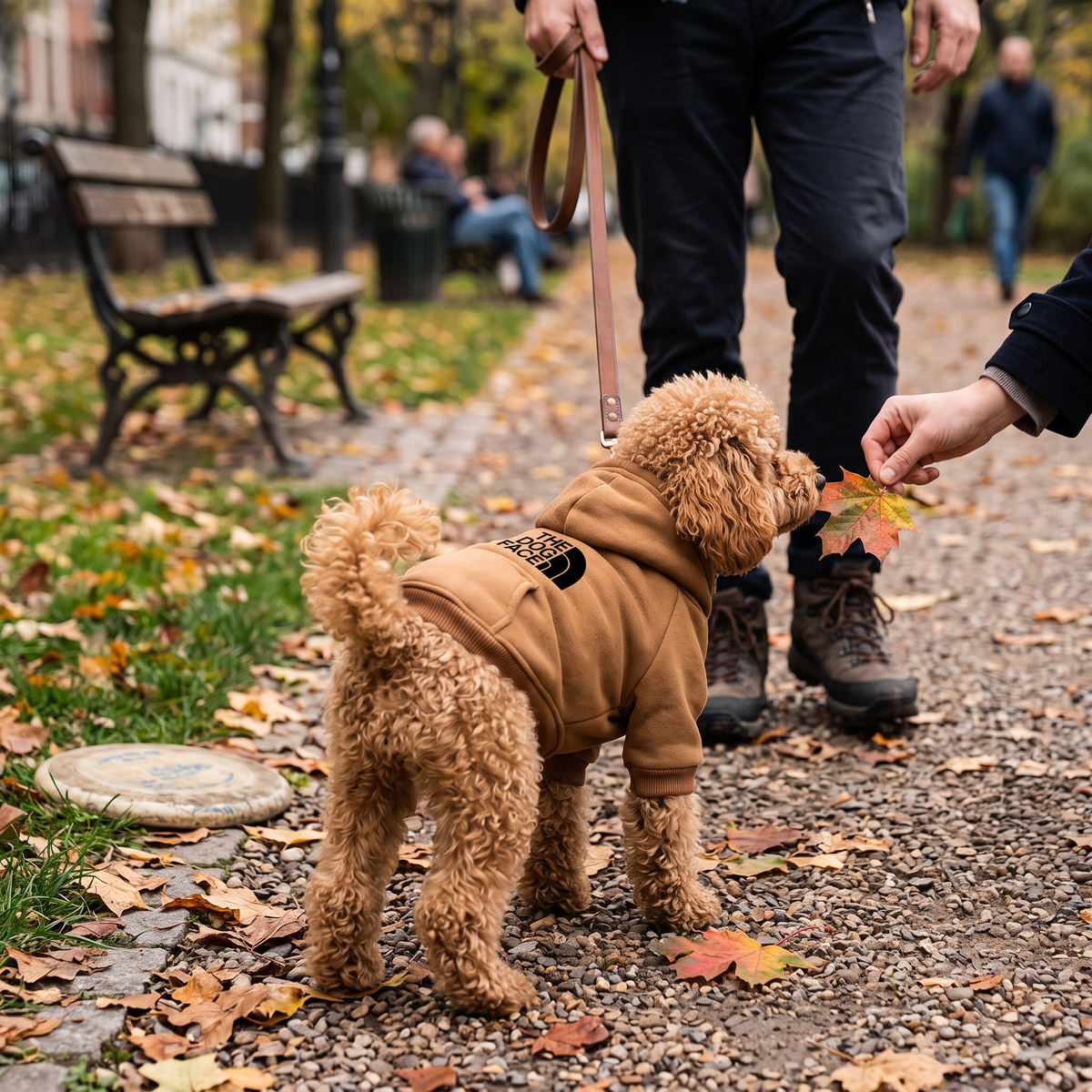 Pet sweater cowboy pocket two-legged for winter pet clothes | lifestyle
