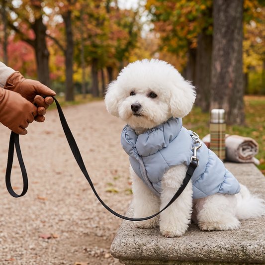 Soft Warm PET Clothes for Winter Padded Coat/Jacket/Vest/ Pet Outfit | lifestyle